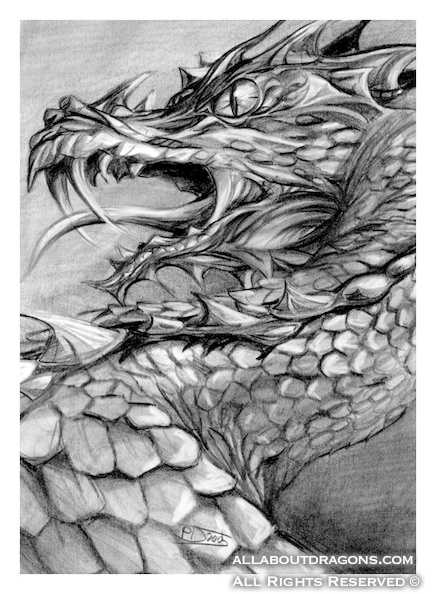1206-dragon-dragon_by_paula2206.jpg