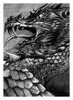1206-dragon-dragon_b