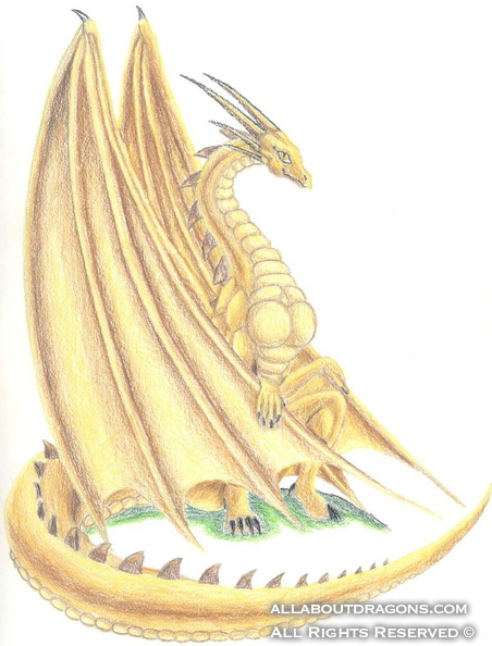 1218-dragon-Gold_Dragon_by_GI_MO.jpg