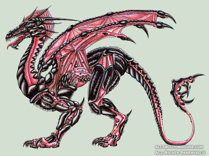 1248-dragon-pink_and_black_dragon_by_yektuikuto-d39ta2s.png