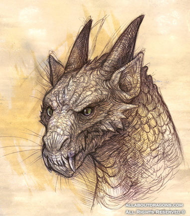 1250-dragon-dragon_h