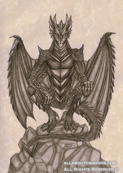 1257-dragon-The_Dragon_by_Thaxllssillya.jpg