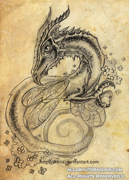 1269-dragon-dragon_by_negrawaridi-d4fa9a1.jpg