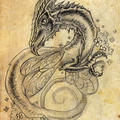 1269-dragon-dragon_b
