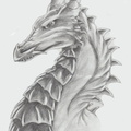 1273-dragon-Dragon_b