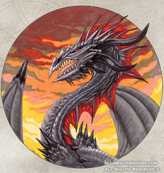 1295-dragon-circle_d