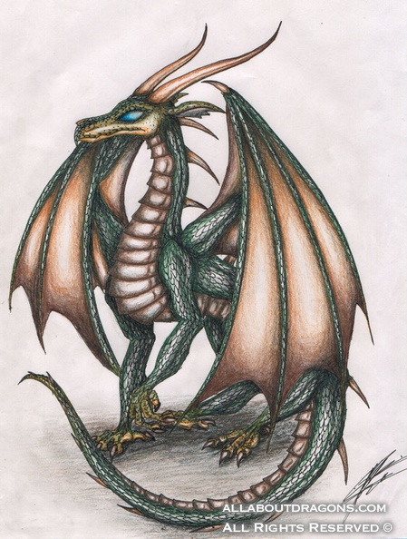 1323-dragon-Golden_W