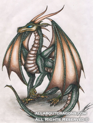 1323-dragon-Golden_W
