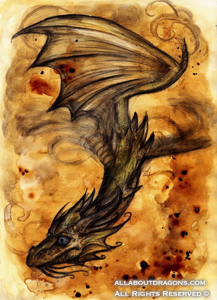 1325-dragons-Coffee_dragon_2_by_Lupuna.jpg