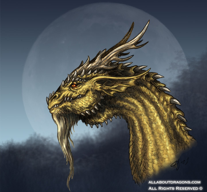 1338-dragons-fe39adc