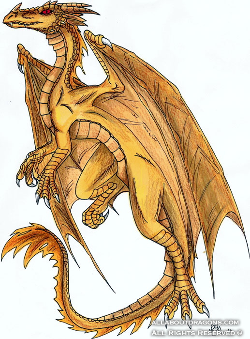 1339-dragon-Golden_D
