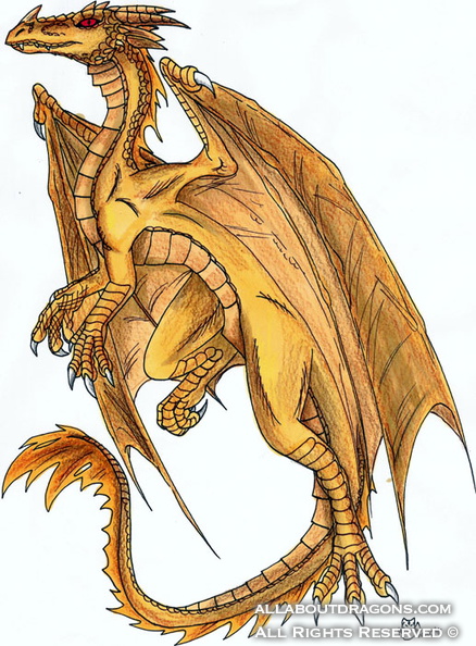 1339-dragon-Golden_Dragon_by_wingedwolf2004.jpg