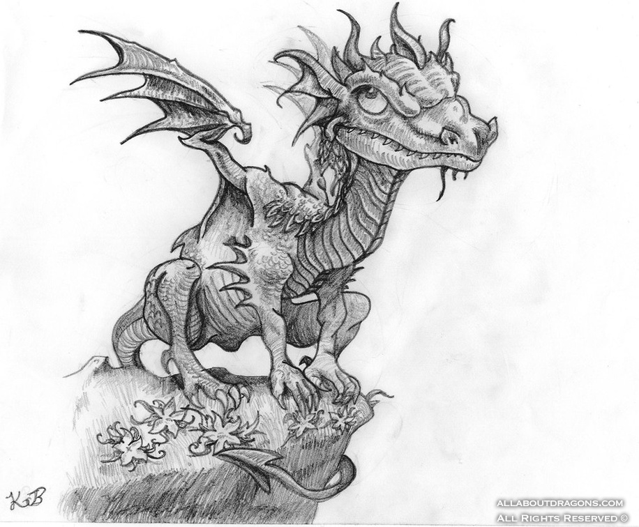 1345-dragon-European