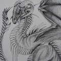 1350-dragon-Dragon_4