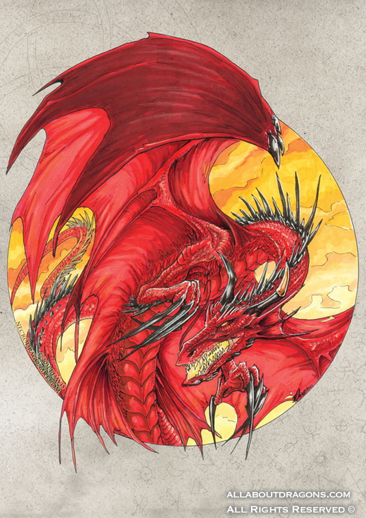1373-dragon-circle_d