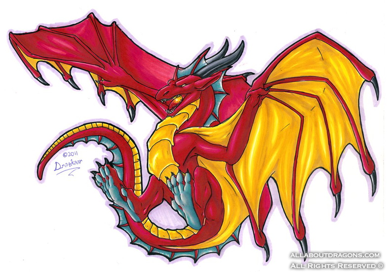 1381-dragon-dragon_print_2_colour_by_draconigenae666-d3a62iw.png