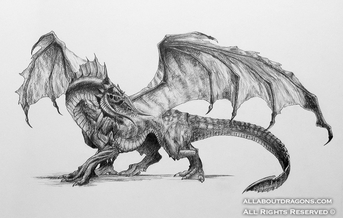 1390-dragons-black_d
