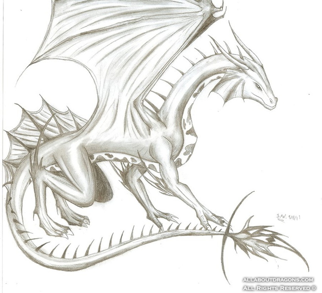 1425-dragons-i_have_fins__d_by_cyndardragon-d4a8fd5.jpg