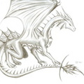 1425-dragons-i_have_