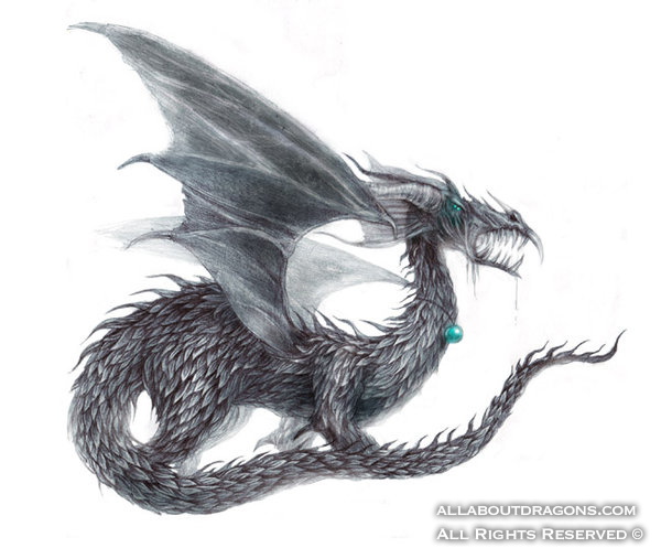 1428-dragon-dragon__by_3001-d2y8cqm.jpg