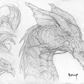 1431-dragon-dragon_b