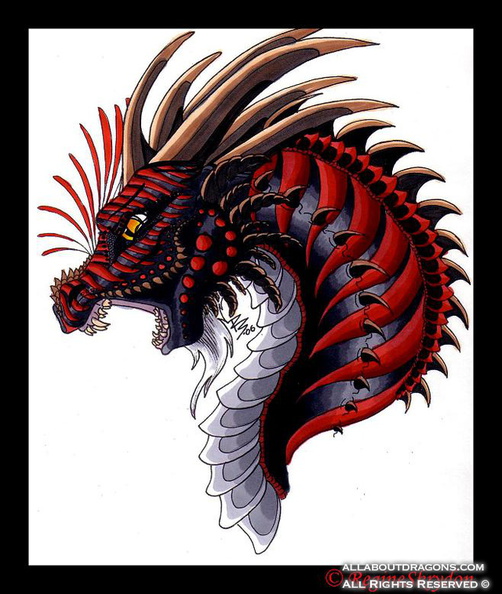 1431-dragons-Dragons___Ophion_C_by_Tagnikzur_clan.jpg