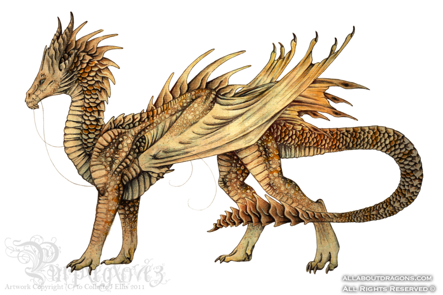 1435-dragons-enondo_