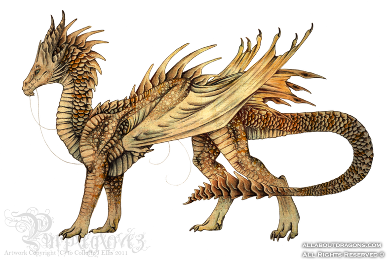 1435-dragons-enondo_