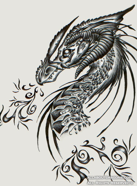 1445-dragons-Dragons_Head_by_Angi_kat.jpg