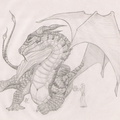 1453-dragon-Dragon_b