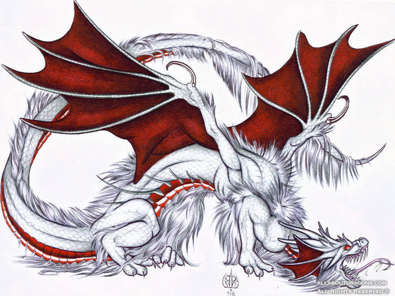1492-dragons-Ferny__s_portrait_by_raven8dragon.jpg