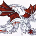 1492-dragons-Ferny__