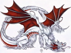 1492-dragons-Ferny__