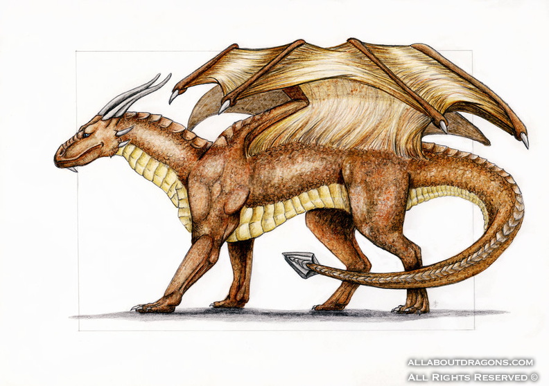 1497-dragon-draconni