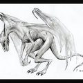 1506-dragon-Skeleton