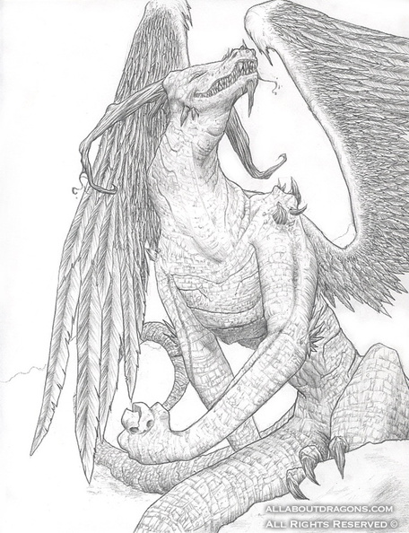 1510-dragon-Dragon_Drawing.jpg