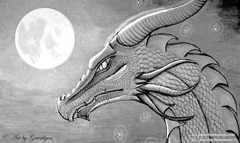 1525-dragon-dragon_night_black_white_by_gewalgon-d55xj8m.jpg