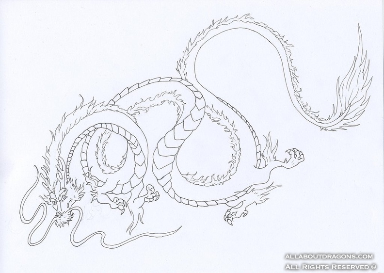 1542-dragon-Chinese_Dragon_by_YuzukiMadoko.jpg