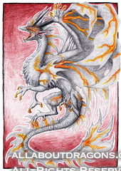 1568-dragon-f25d17ec