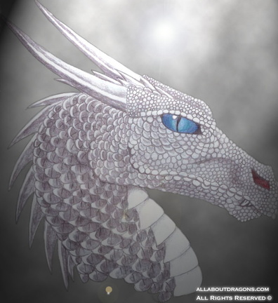 1577-dragon-Silver_D