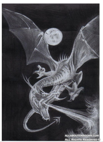 1577-dragon+ice-Ice_Dragon_by_StrayKATT.jpg