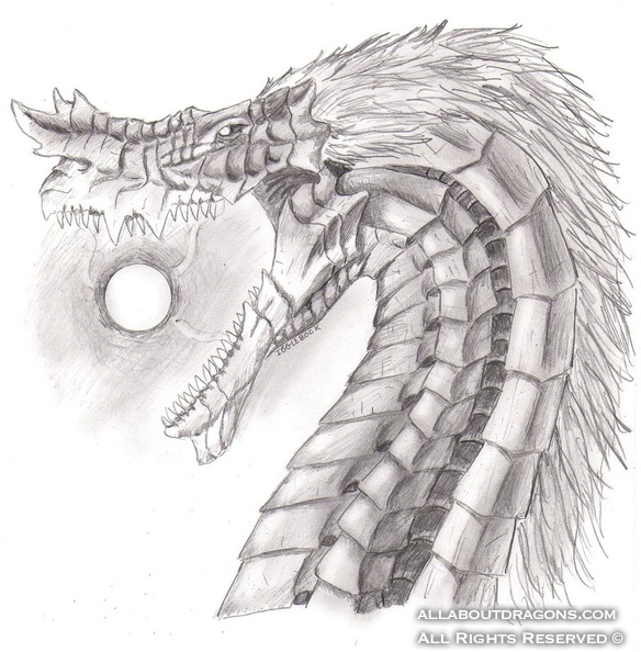 1579-dragon-dragon_profile_2___violent_divinity_by_igglebock-d53pvfb.jpg