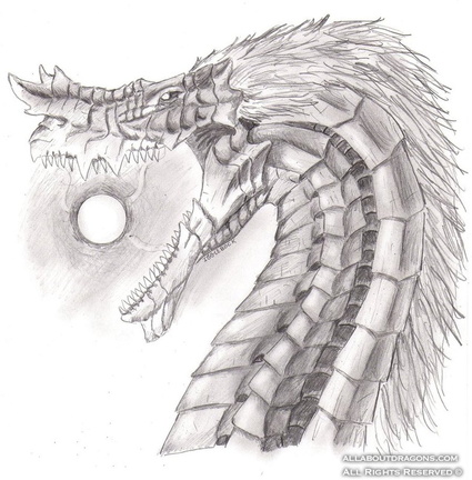 1579-dragon-dragon_p