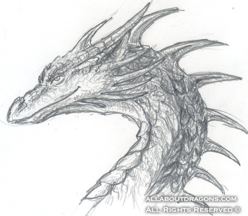 1583-dragon-dragon_b