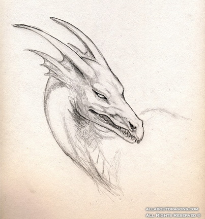1597-dragon-dragon_g