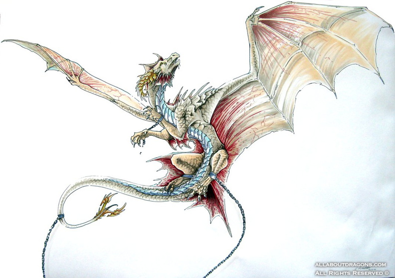 1628-dragon-chains_by_leundra-d35x9oj.png