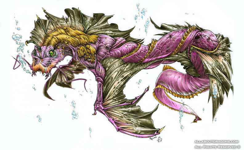 1635-dragon-Ocean_Dragon___Colours_by_maumanga.jpg