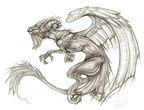 1641-dragon-mr_drago