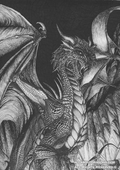 1667-dragon-Dragon_by_Hareguizer.jpg