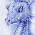 1668-dragon-dragon_w